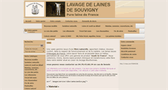 Desktop Screenshot of boutiklaine.fr