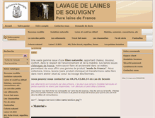 Tablet Screenshot of boutiklaine.fr